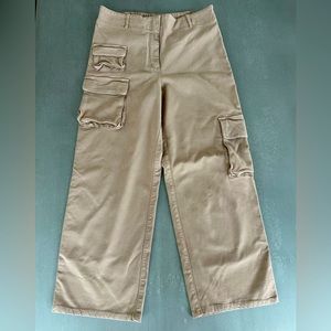 Aritizia Wilfred free Picture Cargo pants